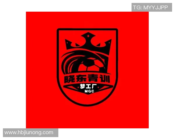 足球21号的传奇之路：从青训到职业生涯的辉煌历程与挑战