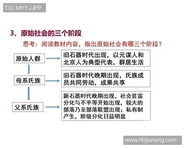 中国足球历史的辉煌与挑战：从早期发展到现代化转型的全景回顾